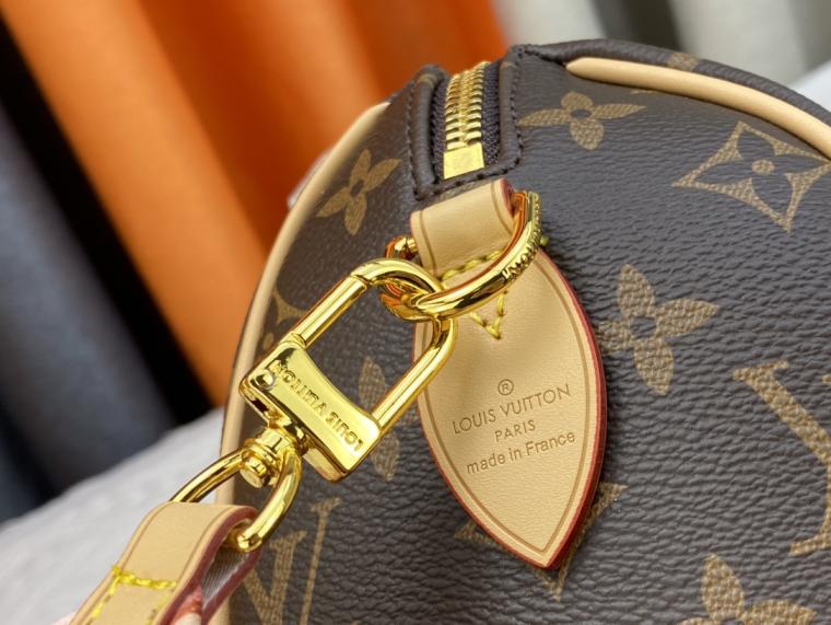 LV Louis vuitton Speedy Bandoulière 20 Bag
