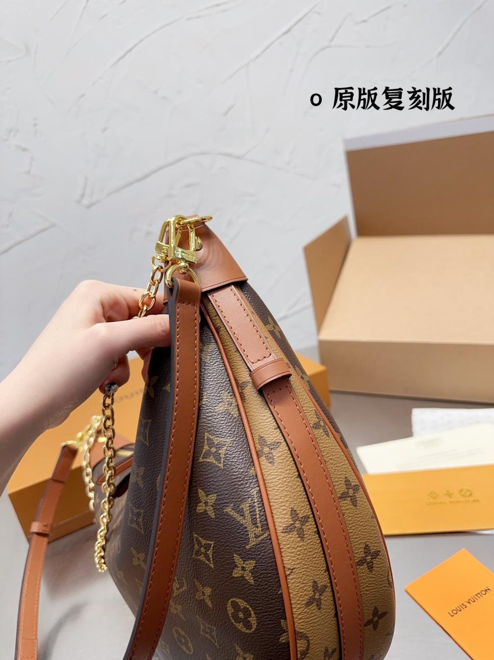 LV Loop Hobo bag 131245