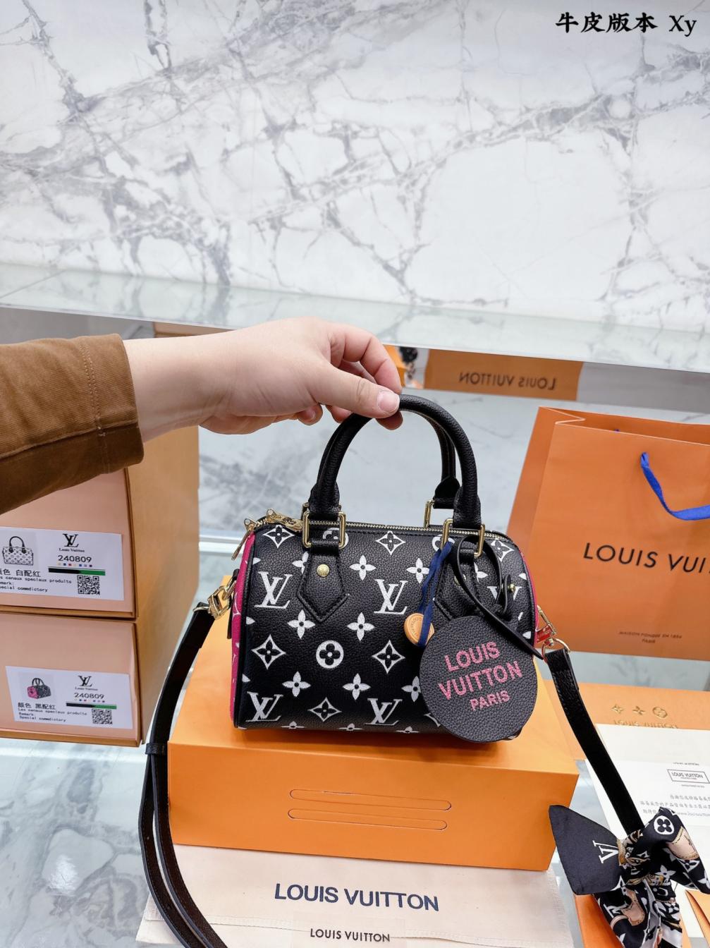 LV NANO speedy20 hand bag 131893
