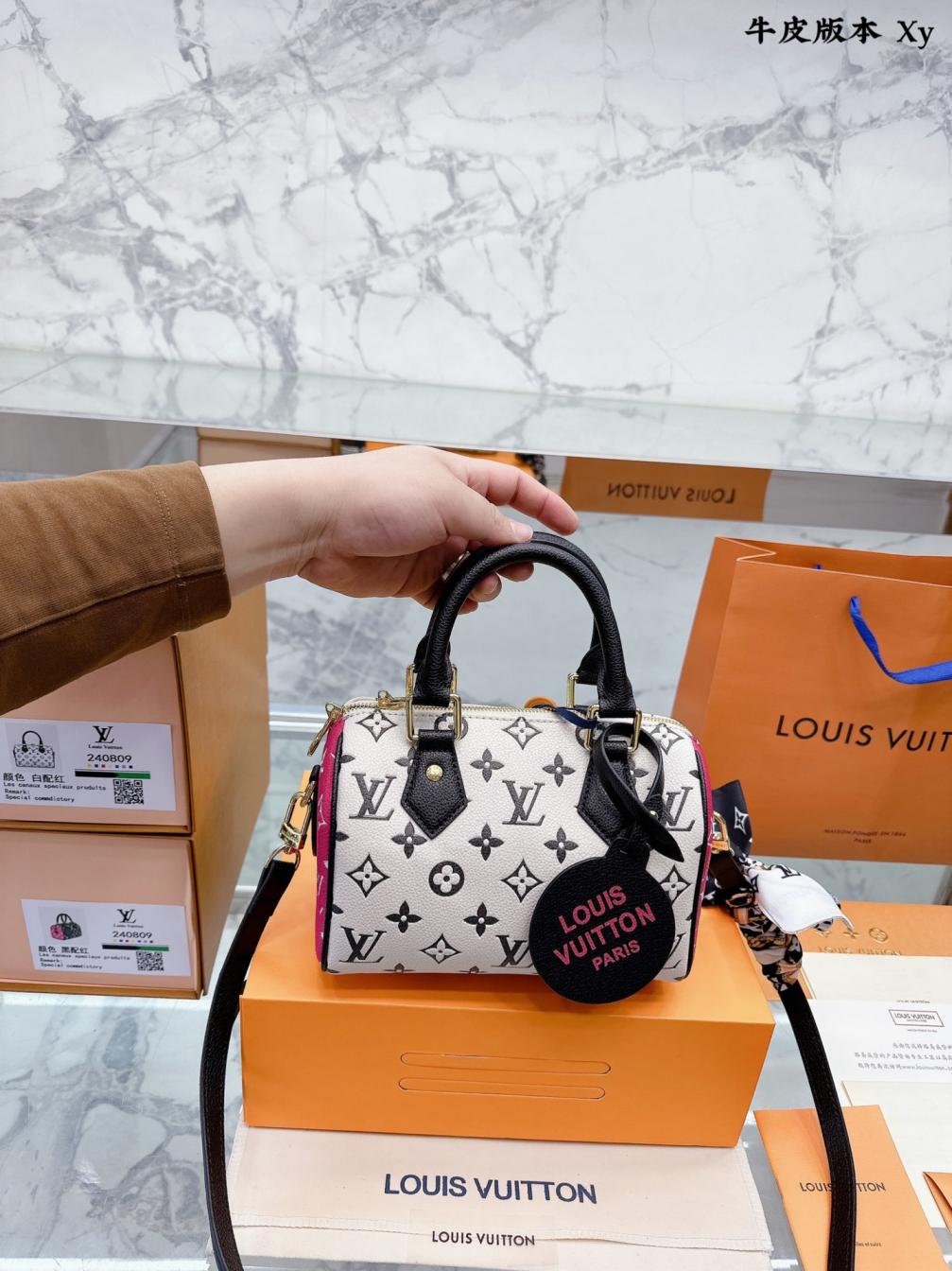 LV NANO speedy20 hand bag 131893