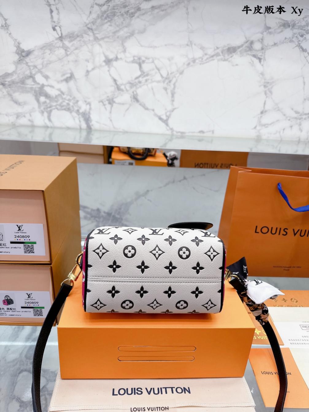 LV NANO speedy20 hand bag 131893