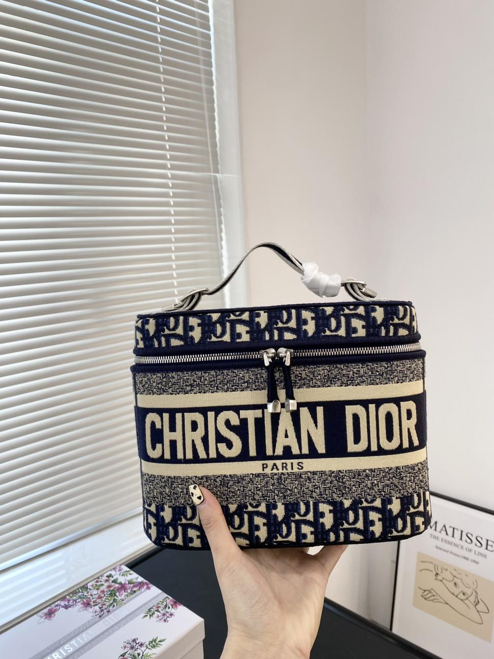 Dior Oblique cosmetic bag