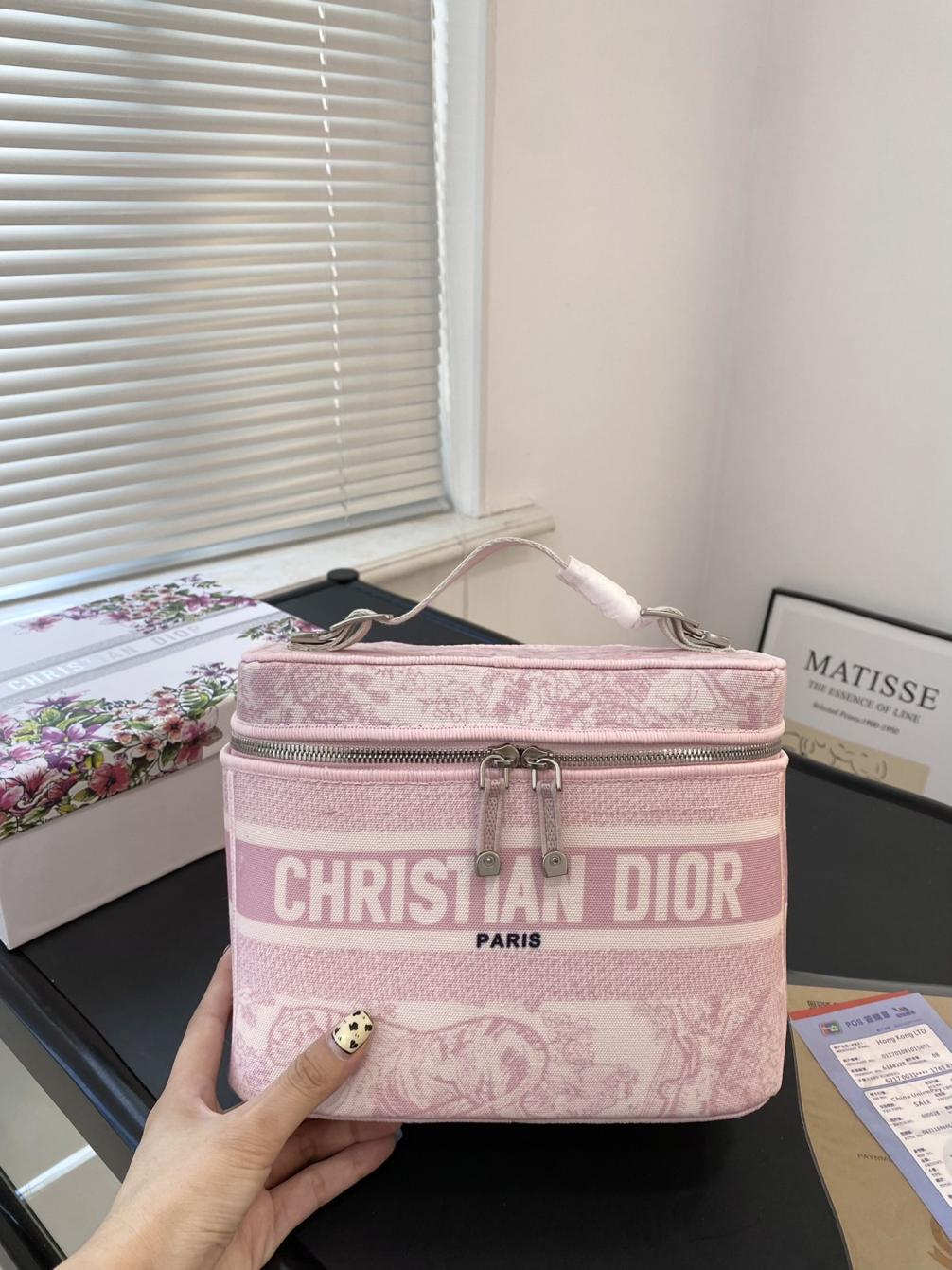 Dior Oblique cosmetic bag