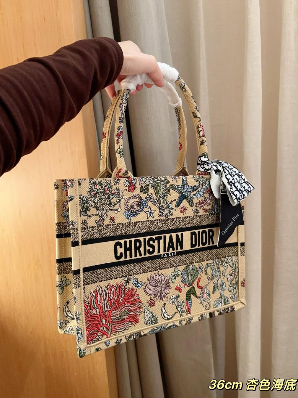 Dior Middle Book tote embroidery bag