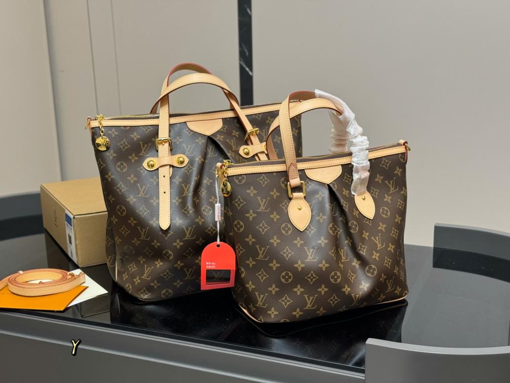 LV Vintage TURENNE handbag